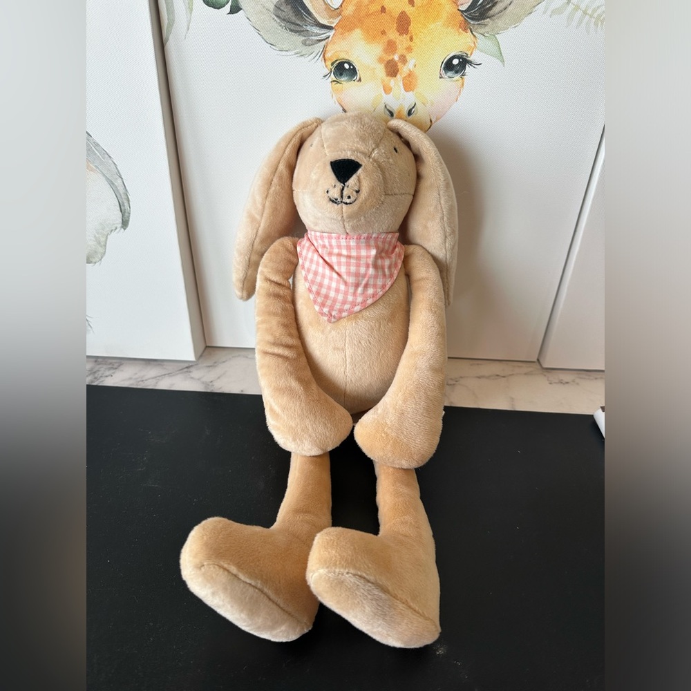 Lil Pyar Bunny! Brand new with tags! So cute for a nursery or toddler!